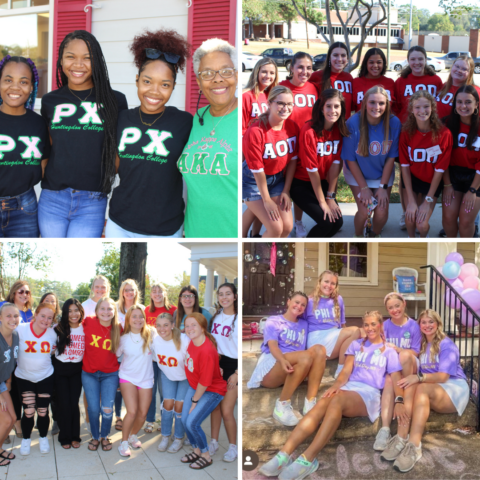 A Celebration of Sisterhood