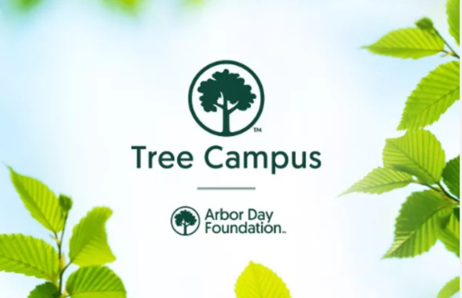 Huntingdon College Earns 2024 Tree Campus Recognition from Arbor Day Foundation