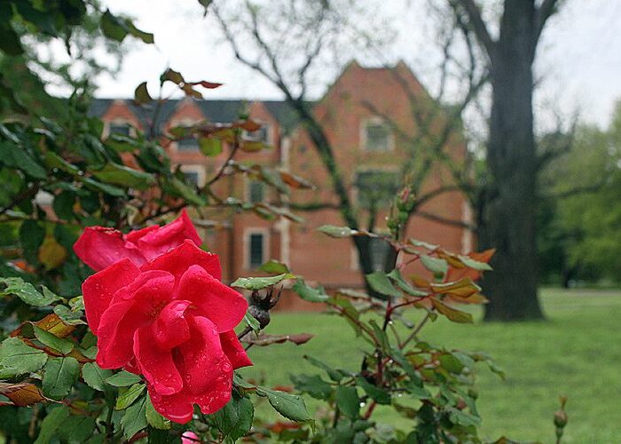 March 2025 Alumni News