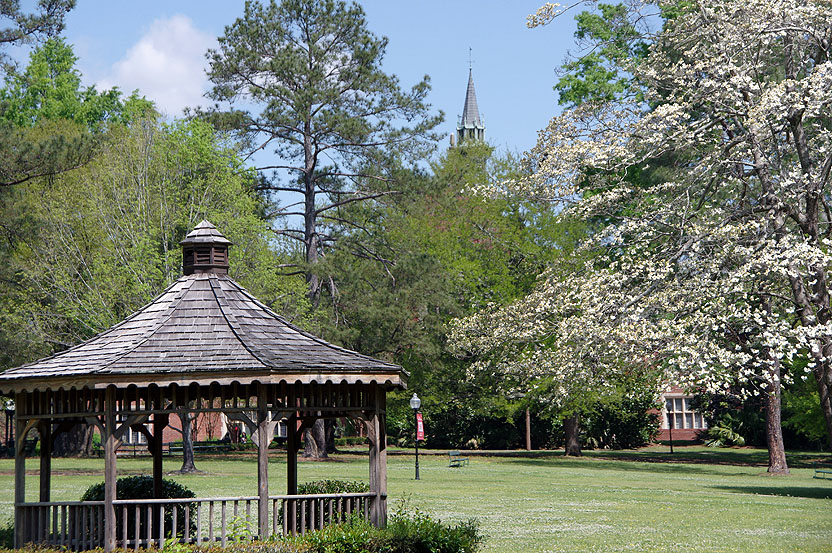 The Green, with a view of Flowers Steeple photo