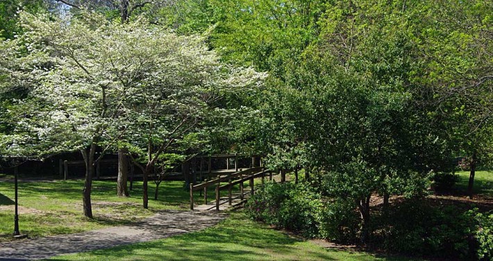 The Bridge on The Green