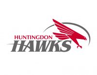 Hawks logo with words